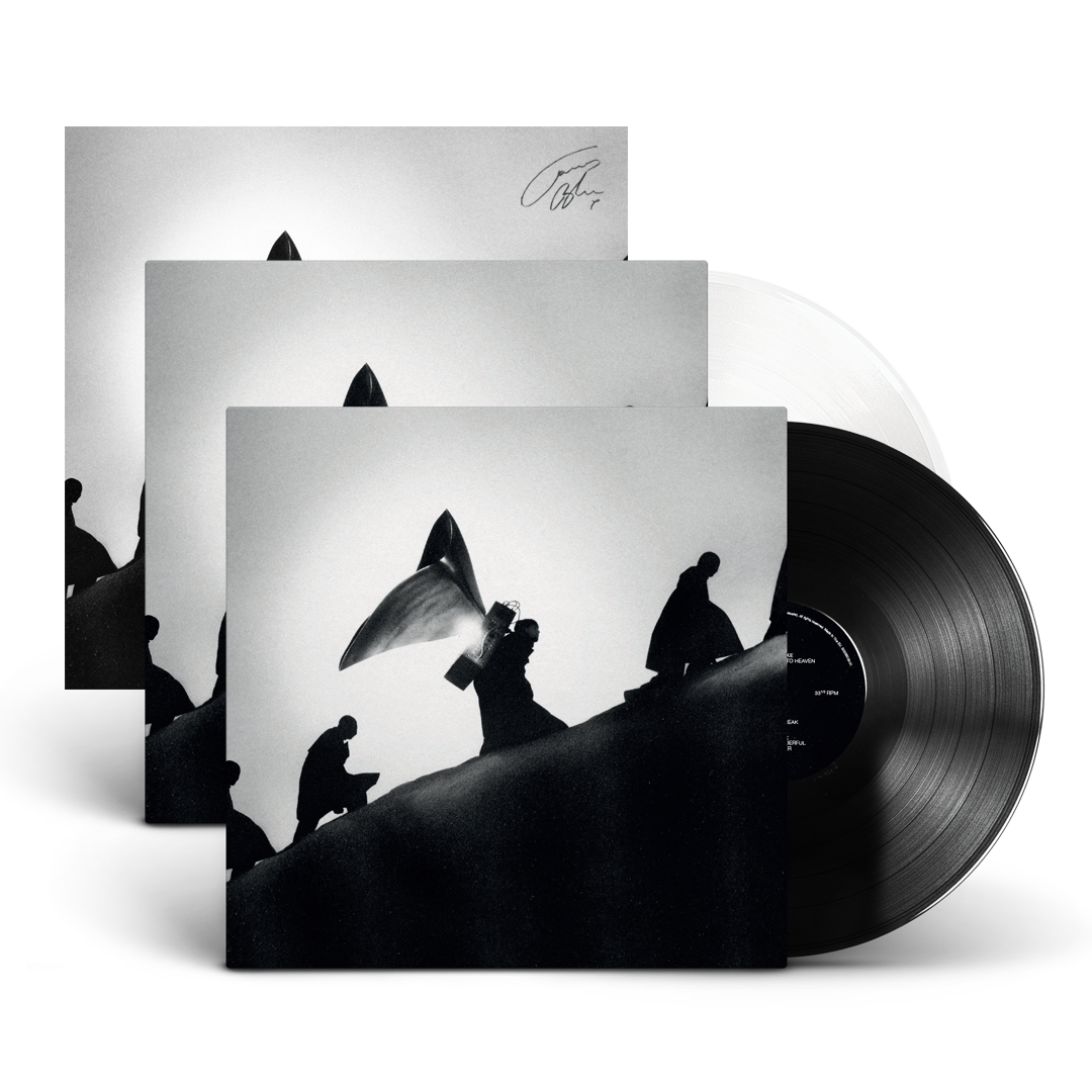 PLAYING ROBOTS INTO HEAVEN STORE EXCLUSIVE VINYL, BLACK VINYL + SIGNED ART PRINT BUNDLE
